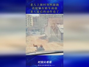 不盖被子生猴子视频大全：带你领略神奇自然现象