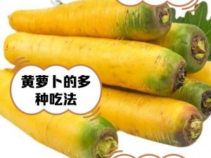 如何打开萝卜黄 91：探索背后的秘密