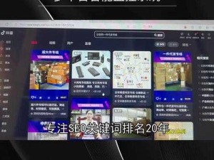 seo 短视频网页入口网站，一键直达海量短视频资源