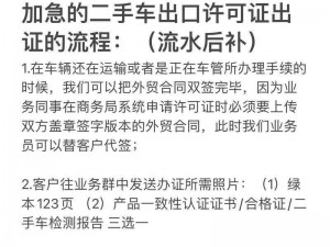 加急许可使用指南：高效办理流程与注意事项详解