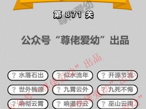 成语升官记第325关攻略详解：策略解析与通关技巧分享