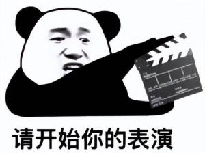 请开始你的表演：