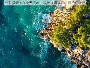 4kfree 性满足 HD 免费观看，极致视觉享受，带给你全新体验