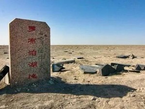 无人区编码6229刘乐观天下事(无人区编码 6229：刘乐观天下事，他为何对这些事情感兴趣？)