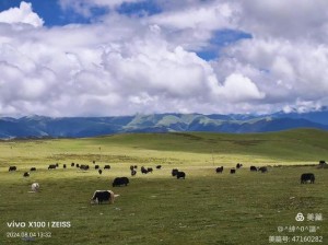 姐弟俩打扑克运动，在锻炼身体的同时，还可以促进亲子关系