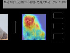 火眼金睛预览：揭秘图像识别的前沿科技视觉魔法揭秘，揭示图像世界的智能解读力量