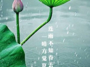 雨春高清：最新热点资讯一网打尽