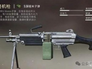 枪械M249弹夹容量揭秘：究竟能容纳多少发？