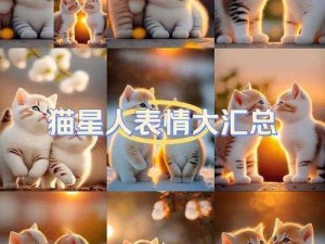 猫咪电脑版下载与安装全攻略：解压安装步骤详解