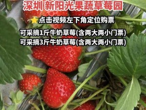 草莓视频草莓视频草莓X-请问草莓视频草莓视频草莓 X 是什么？