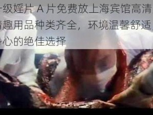 欧美一级婬片 A 片免费放上海宾馆高清无码，情趣用品种类齐全，环境温馨舒适，是你放松身心的绝佳选择