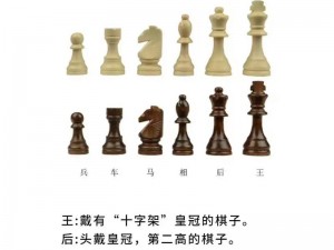 Rook国际象棋：探索棋局中的策略与智慧之源