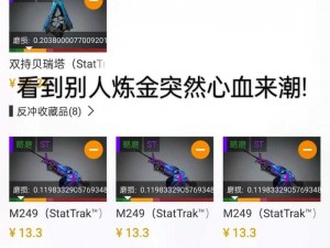 暴躁姐姐 csgo 游戏装备大揭秘