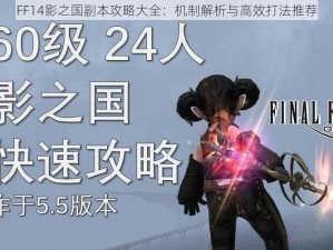 FF14影之国副本攻略大全：机制解析与高效打法推荐