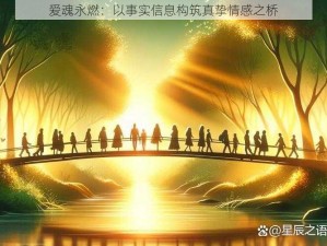 爱魂永燃：以事实信息构筑真挚情感之桥