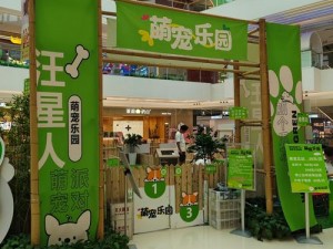 萌宠乐园：萌宠服装店，时尚与乐趣的完美结合