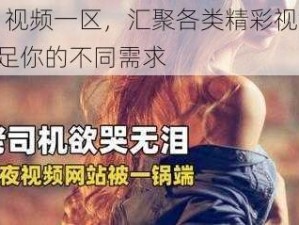 91 视频一区，汇聚各类精彩视频，满足你的不同需求