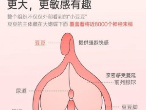 爱情岛十八成人玩具，给你前所未有的极致体验