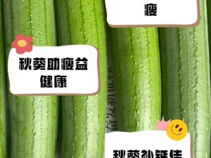 当草莓丝瓜黄瓜绿巨人秋葵苹果遇到网络热点词汇