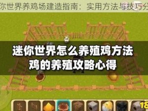 迷你世界养鸡场建造指南：实用方法与技巧分享