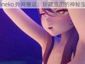 vicineko 外网搬运：珍藏涩图的神秘宝藏