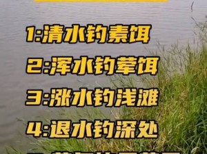 冰原守卫者钓鱼攻略：掌握钓鱼技巧，准备好鱼竿开启垂钓之旅