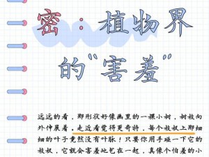 含羞草未满 禁止观看，有趣的植物等你来探索