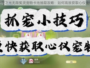 火炬之光无限契灵宠物卡池抽取攻略：如何高效获取心仪宠物