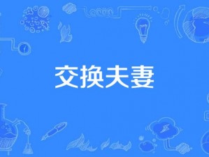 和邻居交换做爰 3：创新设计，提升体验