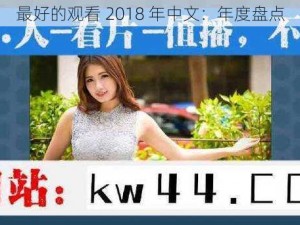 最好的观看 2018 年中文：年度盘点