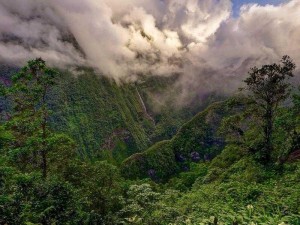 山的背后是无尽知识海洋，探索自然奥秘；燃烧吧我的大脑第12关，开启智慧之旅