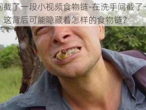 洗手间截了一段小视频食物链-在洗手间截了一段小视频，这背后可能隐藏着怎样的食物链？