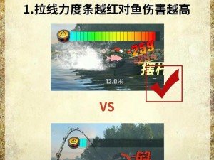 欢乐钓鱼大师锦标赛参与攻略：如何参加欢乐钓鱼大师锦标赛的详细指南