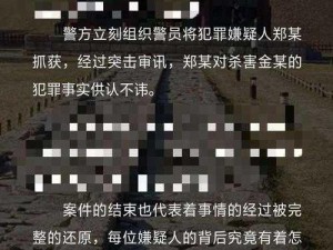 犯罪大师揭秘：隐身的凶手踪迹解析——揭秘隐藏真凶的身份之谜