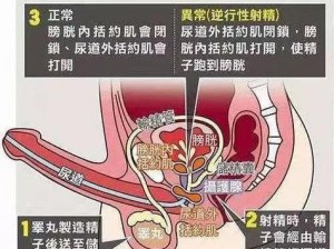 日本体内无码射精汇编：岛国动作片的经典之作