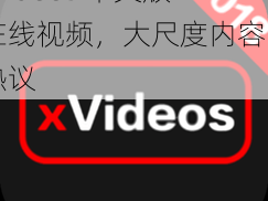 xvideos 中文版在线视频，大尺度内容引热议