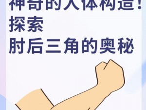 师父碎背肘功效揭秘：探索其影响及作用机制