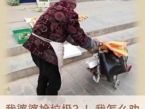 老妇b 为什么老妇 b 要在垃圾桶里找食物？