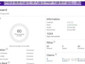 深入浅出PMP不慎意外走红 深入浅出 PMP 不慎意外走红，原因竟是……