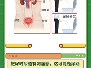 女子撒尿全过程 女子撒尿的全过程是怎样的？