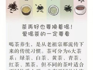 简单还是换茶：修真如意兑换选择的深度探讨与对比