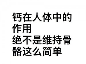 202GGY 钙站——高效补钙，守护你的骨骼健康