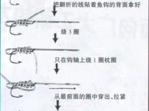 钓鱼王者排位赛等级制度详解与攻略指南：从入门到精英的全面指南