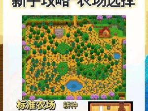 星露谷物语夏天种植指南：探索最佳农作物选择与种植策略