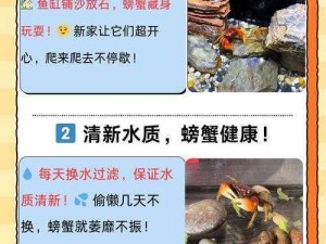 螃蟹游戏CrabGame联机攻略：教你如何在线玩转螃蟹游戏CrabGame的联机方法