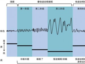 文明重启：生存游戏中如何合理分配休息与睡眠，睡眠机制深度解析与实战指南