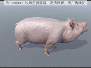 ZoomKooL 牧场免费观看，高清流畅，无广告骚扰