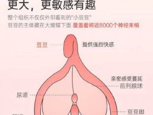 日本娇小内㓔精汇编：日本最新研制的女性私密护理产品，让女性享受前所未有的极致体验