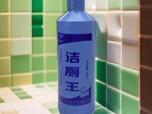 黄色 91——安全高效的清洁产品