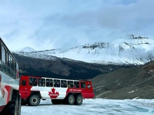 冰原探险之旅：追寻主线任务的终极挑战